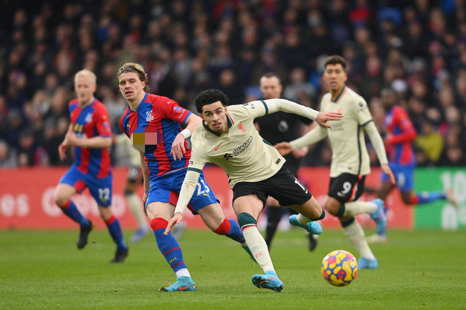 就在安切洛 就在安切洛